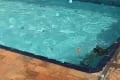 Young swimmers