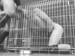 CAGED SLAVE FUN