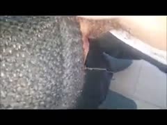 Com Dois Moleques Que Conhece  No Paredao
