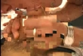amateur suck