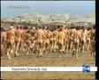 SOPELANA NUDE RACE 2007