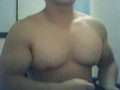 muscle