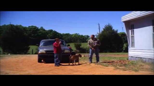country buddies  ing