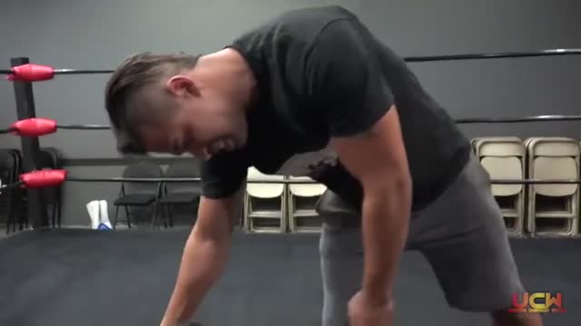 Wolf Vs Steel