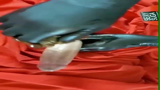 that big dick