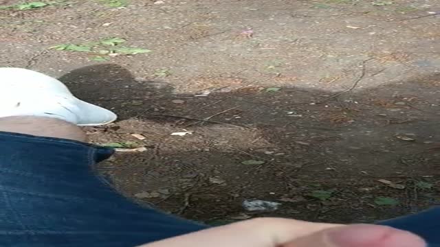 Outdoor Cummin