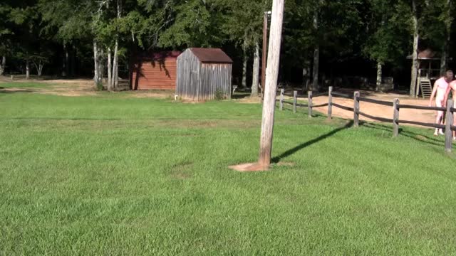 BDSM Bad Boy Camp