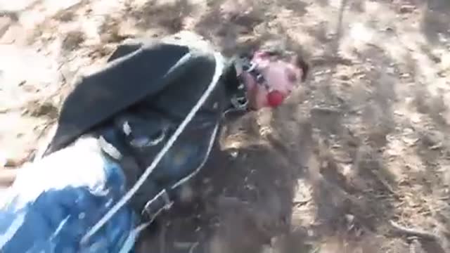 Hogtied outdoor