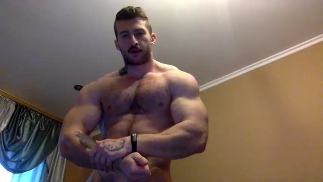 panda muscle cam flex