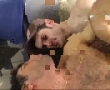 hot sex