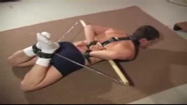 Bondage Compilation