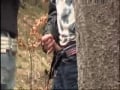 wood fuck