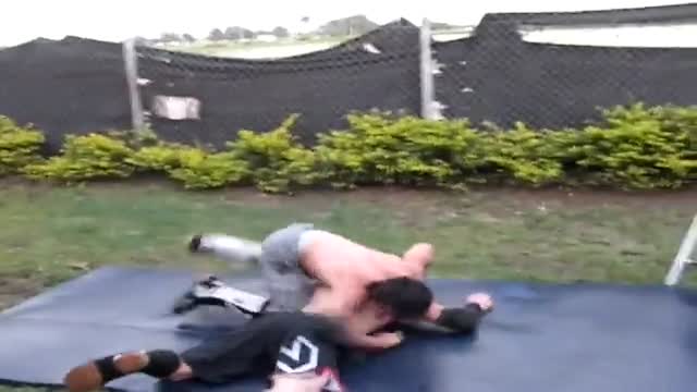 Backyard Boys Fight