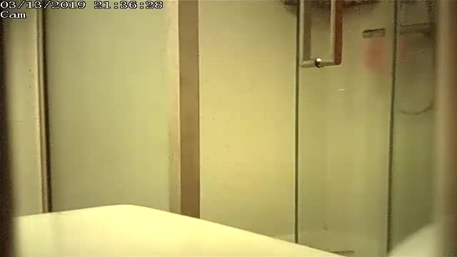 Shower Cam