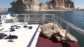 hot guys on boat