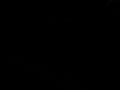 teaser