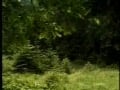 WideOpenScene5