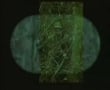 Green Privates -  Part 1 of 5