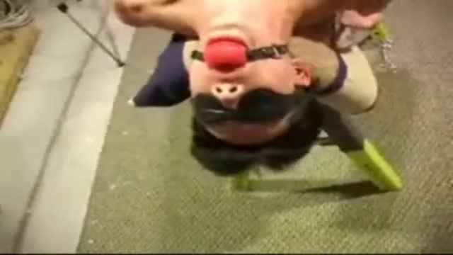 Boy tortured 