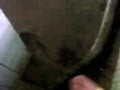 Public toilet cum shot