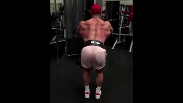 Flex Sergo