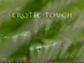 soft touch