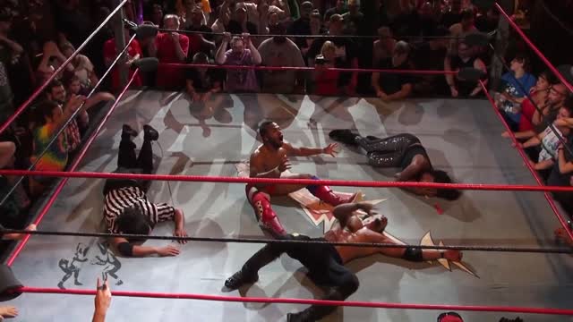 AR Fox Gets Owned