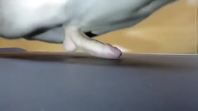 Working it Out