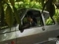 french in car