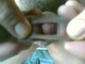 NICE LOAD QUICKIE