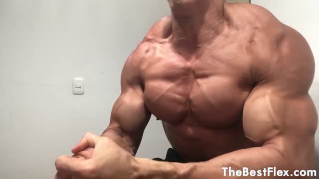 muscle