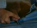 Extra Inches