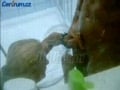 big  MichalBody Pubes Balls Shave