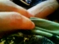 wanking video