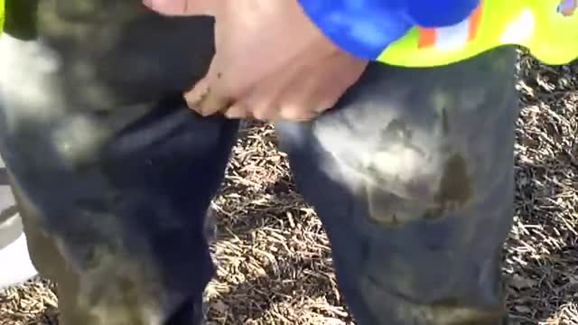 big-cock-hands-free-cum.mp4