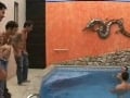 circle jerk 1
