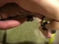 Bench handjob