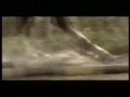 Bareback Twink Ranch