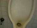 jerking in a wc