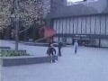 Like a Horse