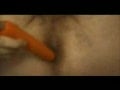 Sodomie