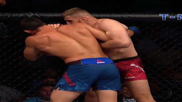 MMA Champ Luke Rockhold is KTFO by Pole Jan Blachowicz