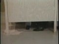 restroom