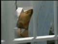priyounger sex