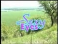 Sexy Eyes