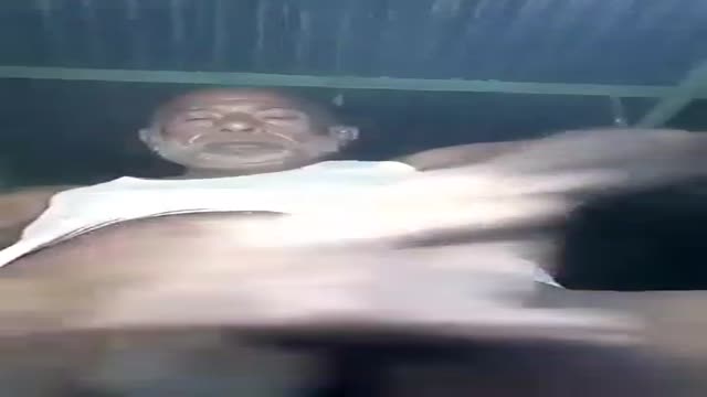 Indian x showing cock