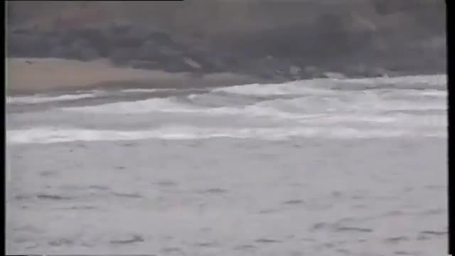 vintage surfer wank