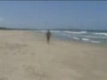 at the beach