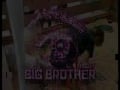 BB