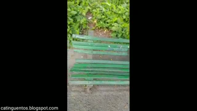Homeless BBC cums on a white man
